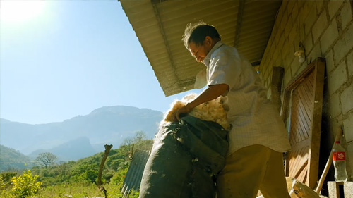 Hauk - La Fibra en Alma