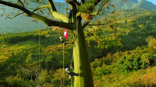 Hauk - La Fibra en Alma